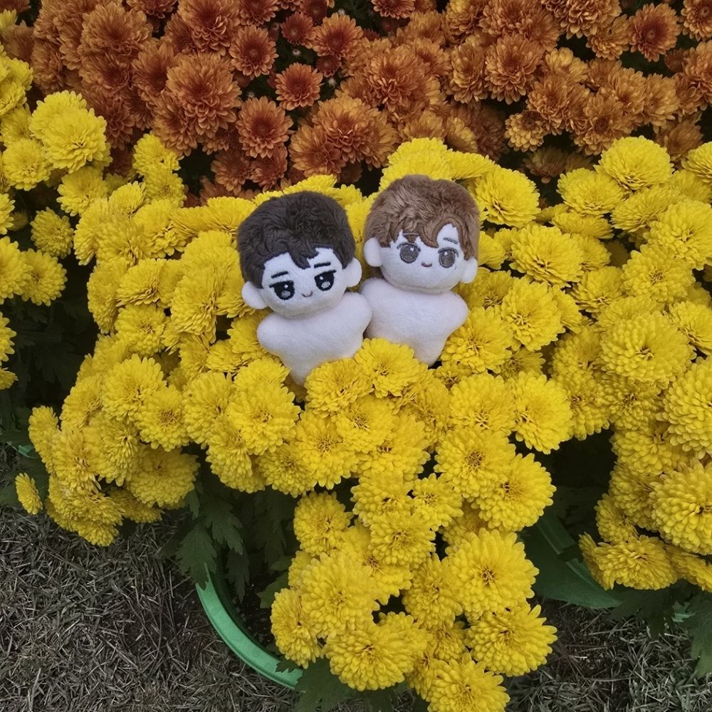 🕯백랑🕯