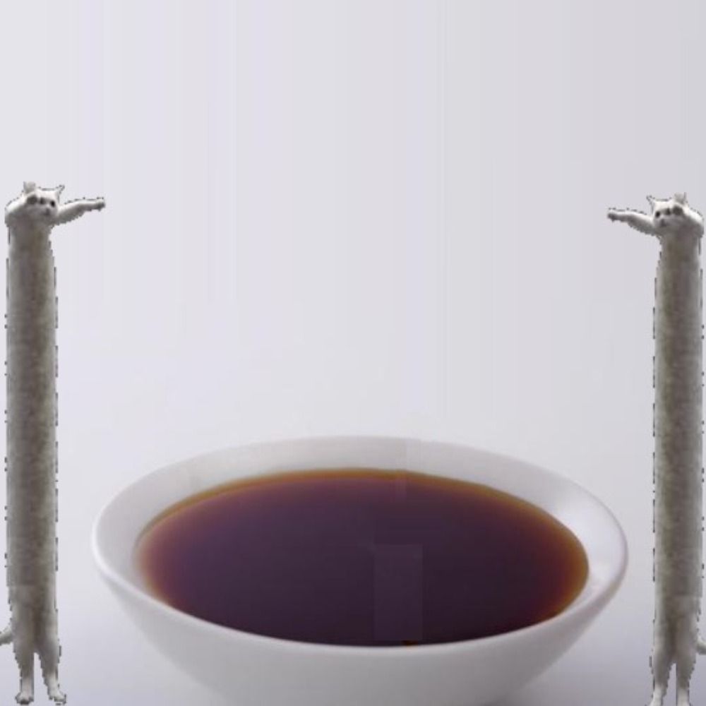 鵂ﾃﾞｽ