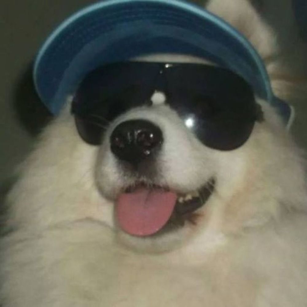 Lee