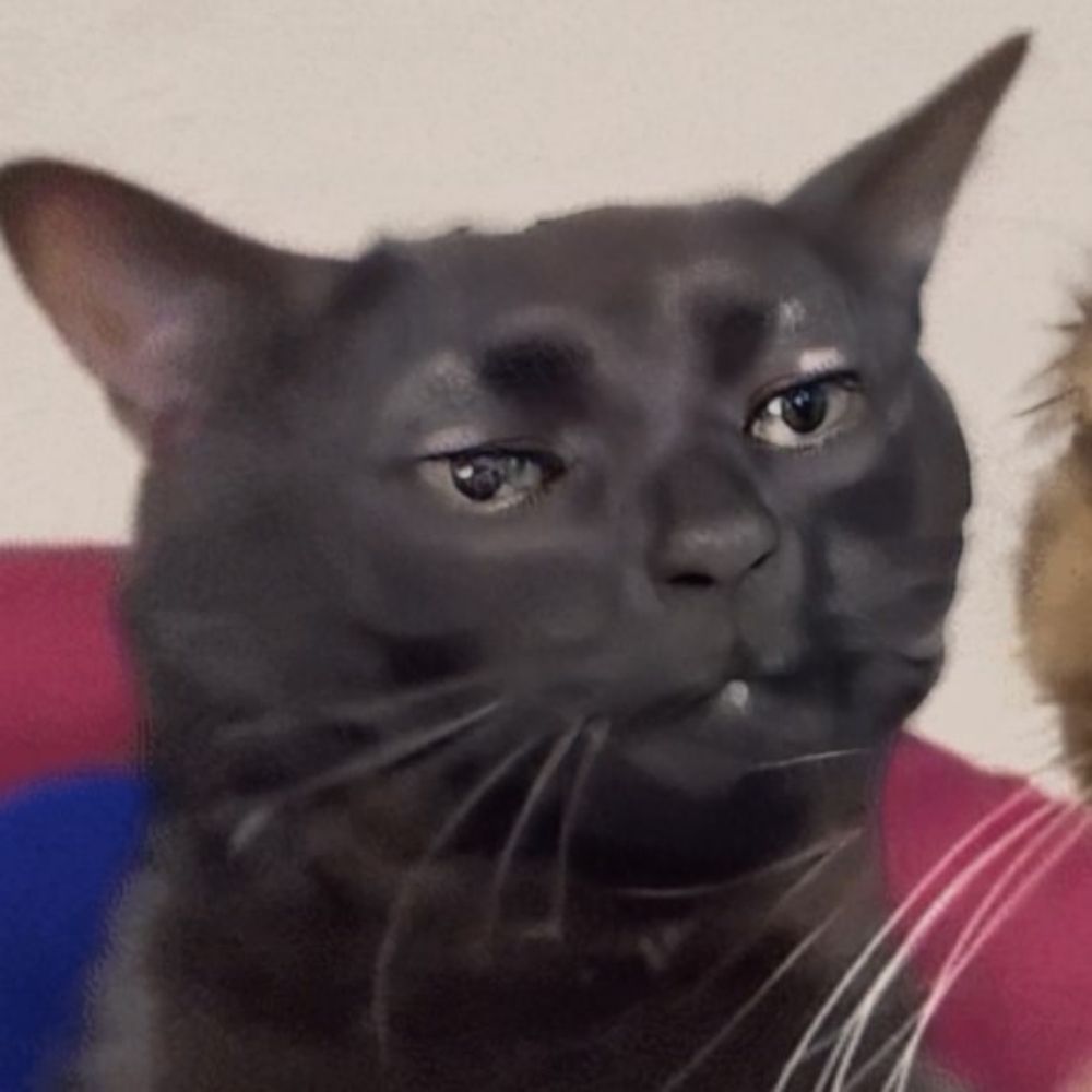 Rufus