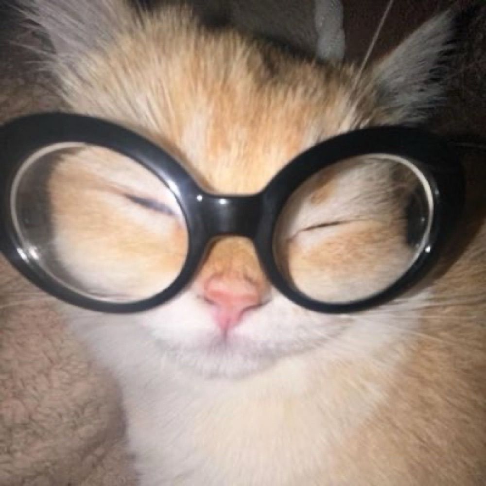 꽝