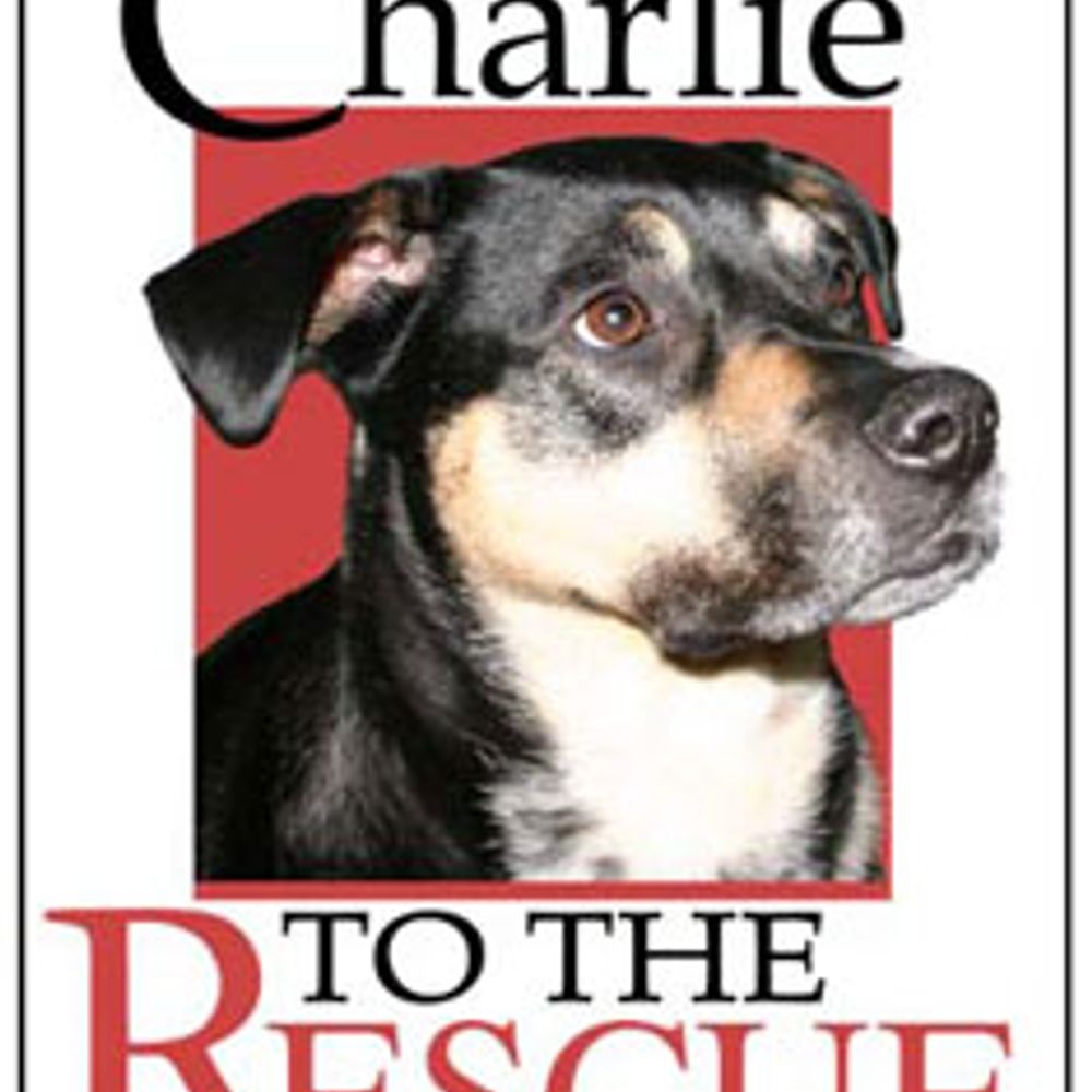 Profile picture charlietotherescue.bsky.social