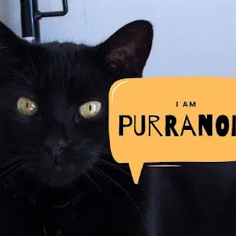 Purranoid's Art Room
