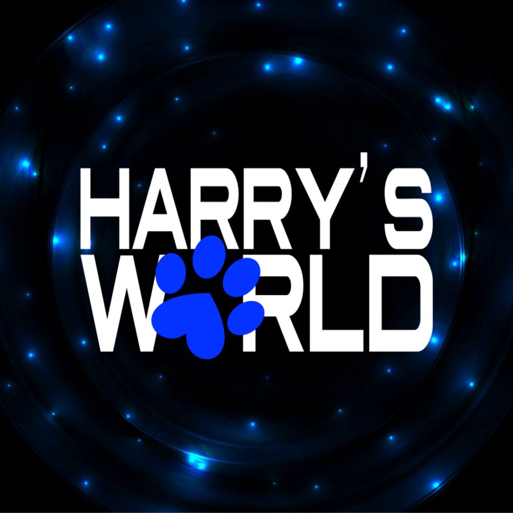 Harry's World