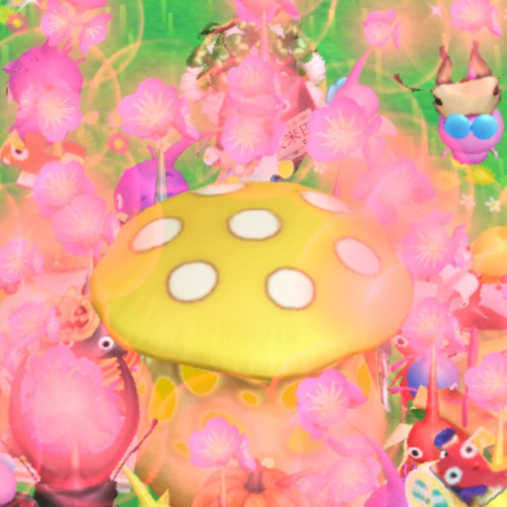 月瀬