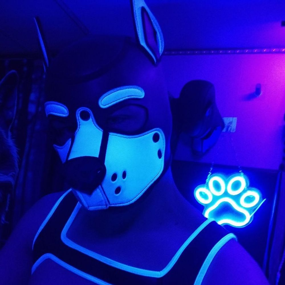 Pup Kivotus