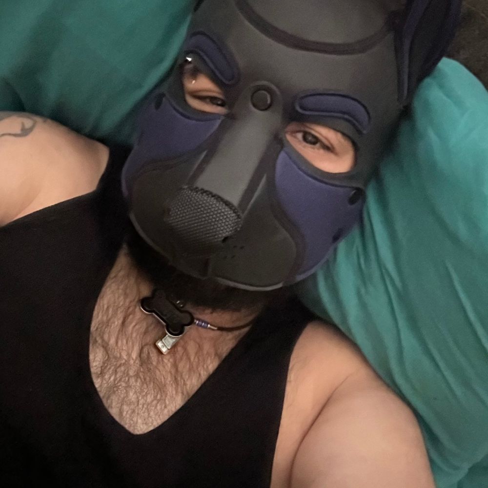 Allegro 🐶🎶