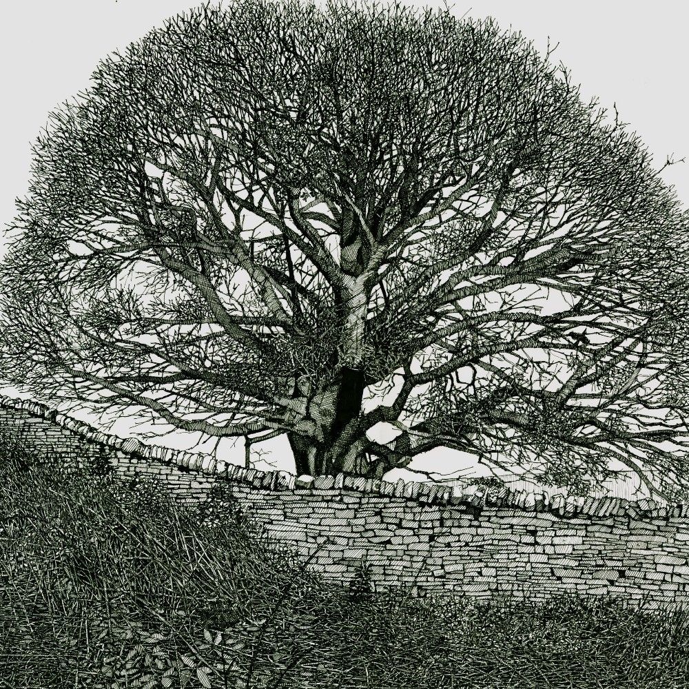Mike Biddulph