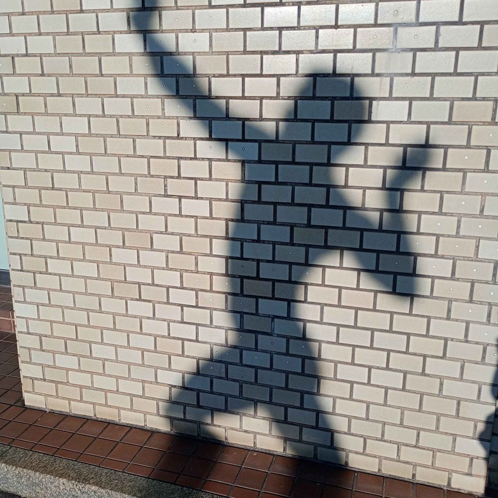 掲示板