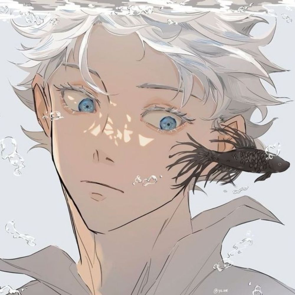 ㅤㅤㅤ  ㅤㅤ𝗅𝗈𝗁