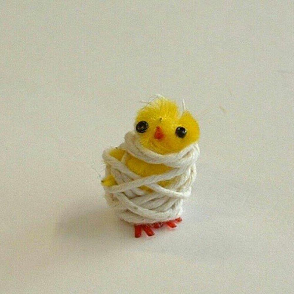 고오도