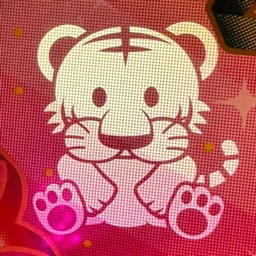 シャチ