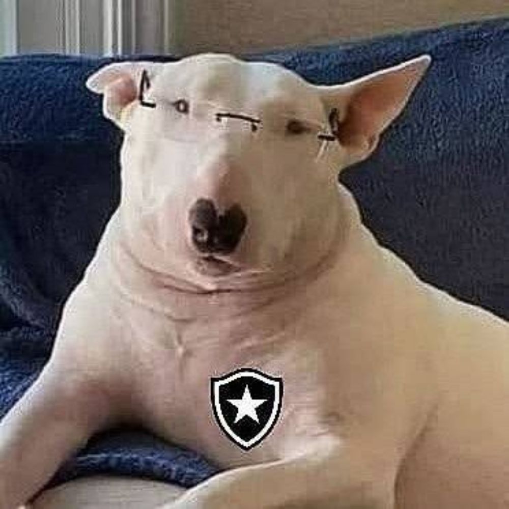 Cachorro Do John Textor