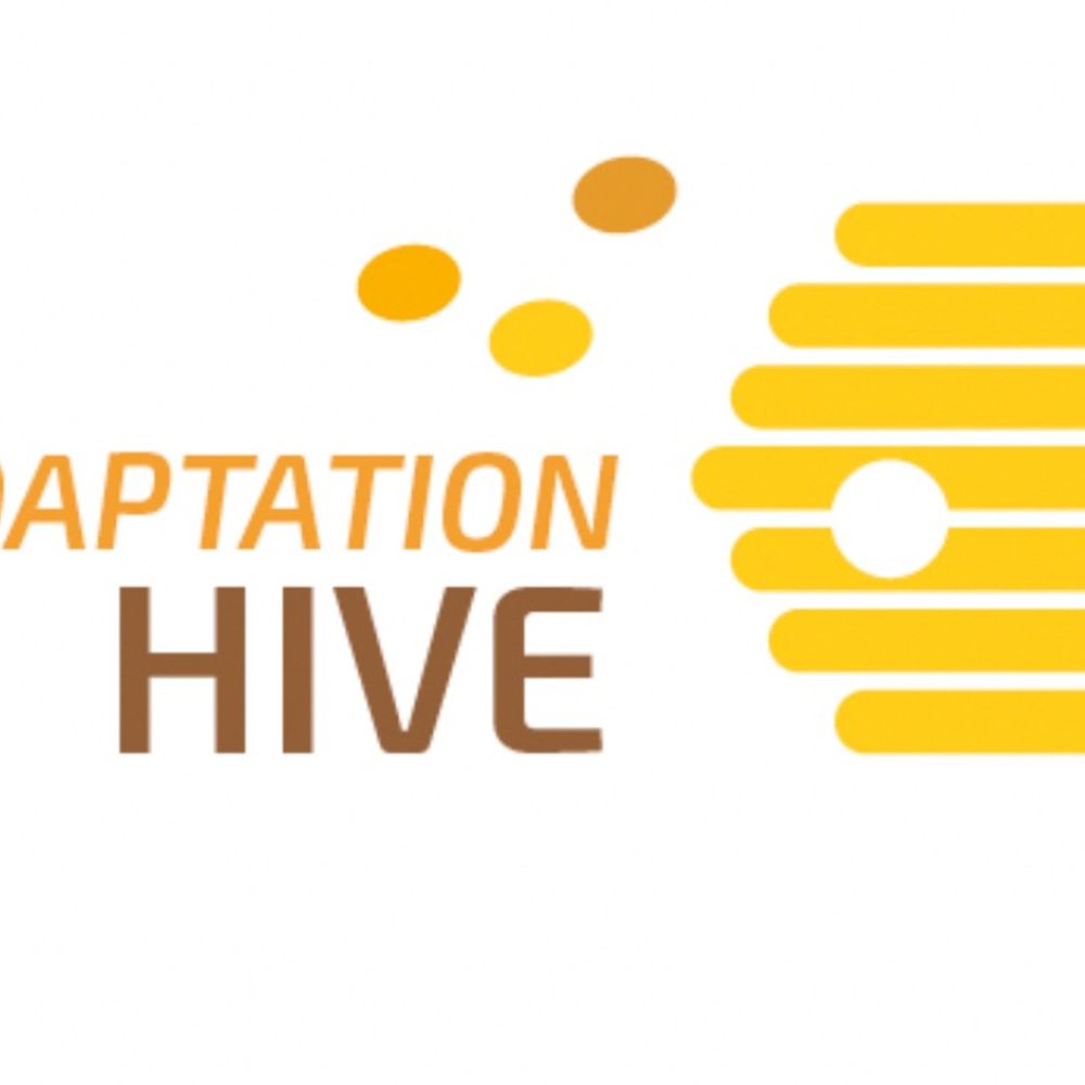 Adaptation Hive