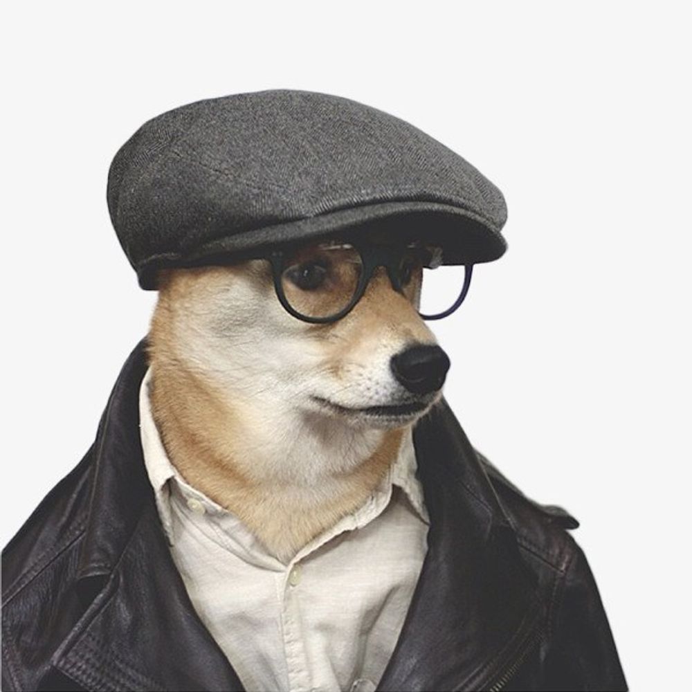 Inu