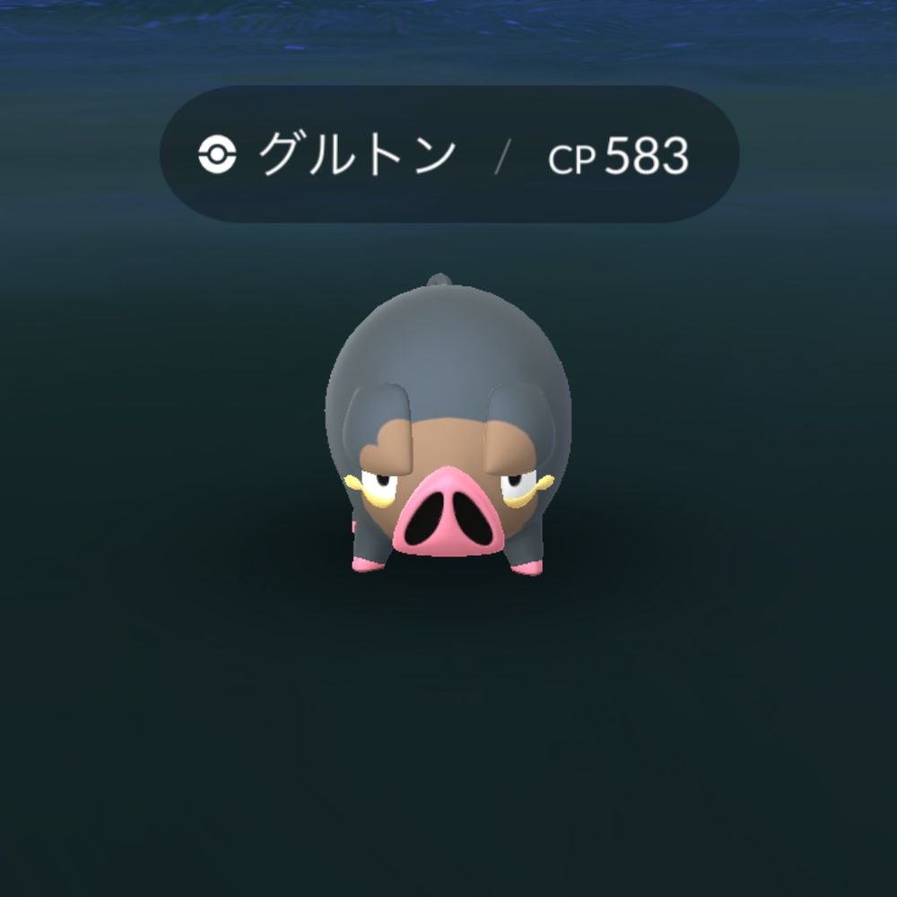ごひ