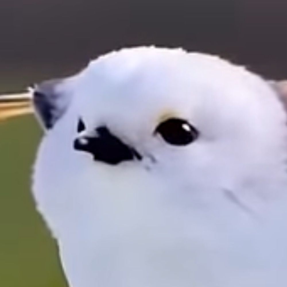 セグレ