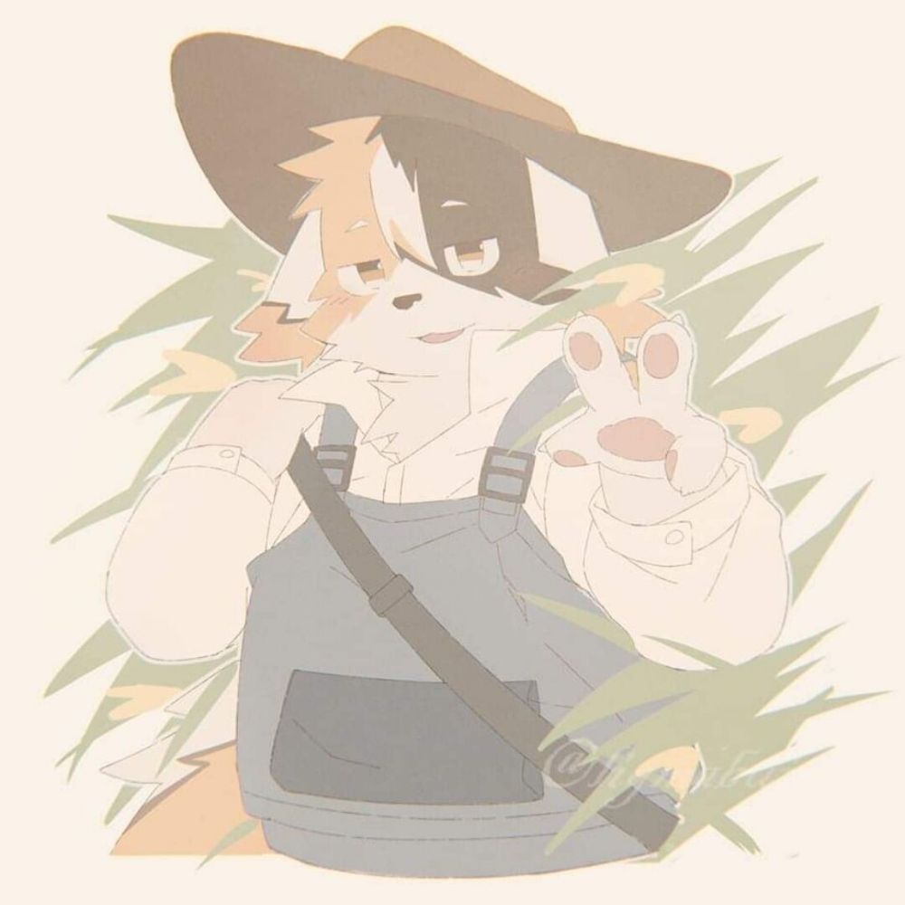 维德
