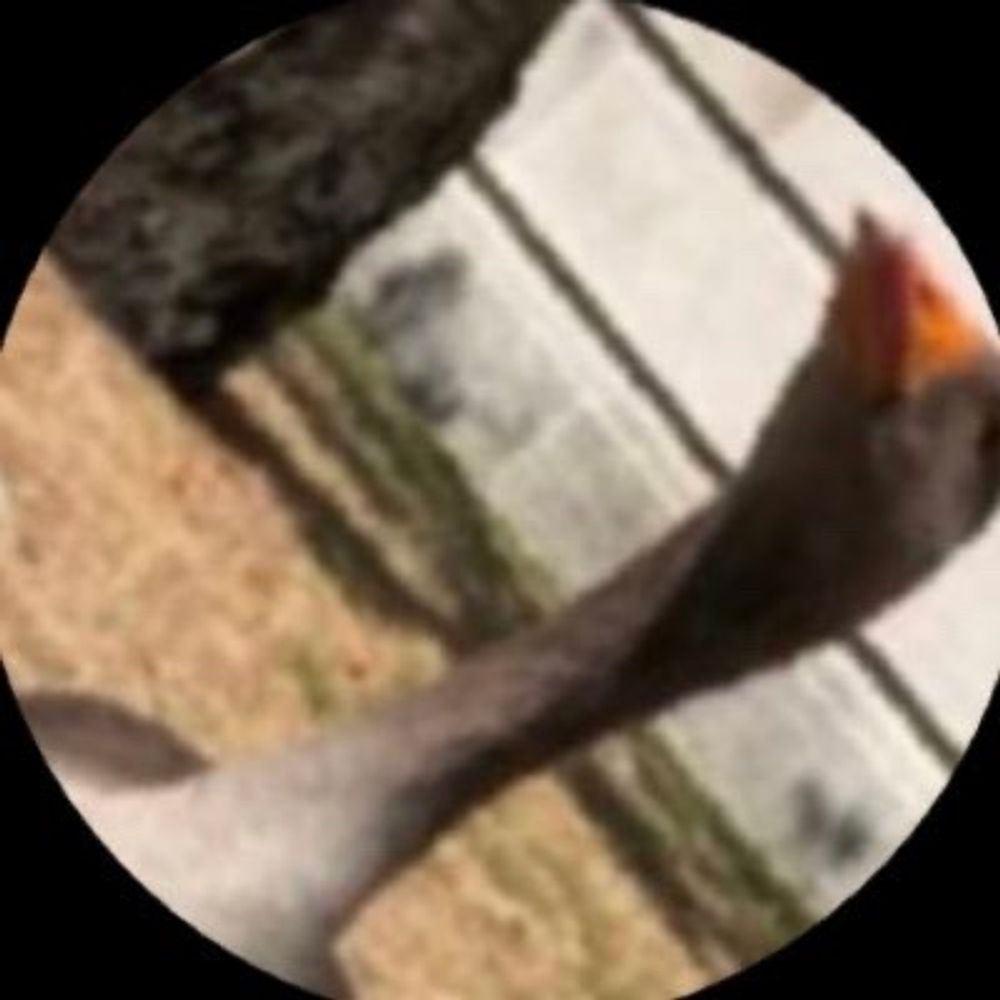 ムーミン谷ではアラビヤ語が使用されている