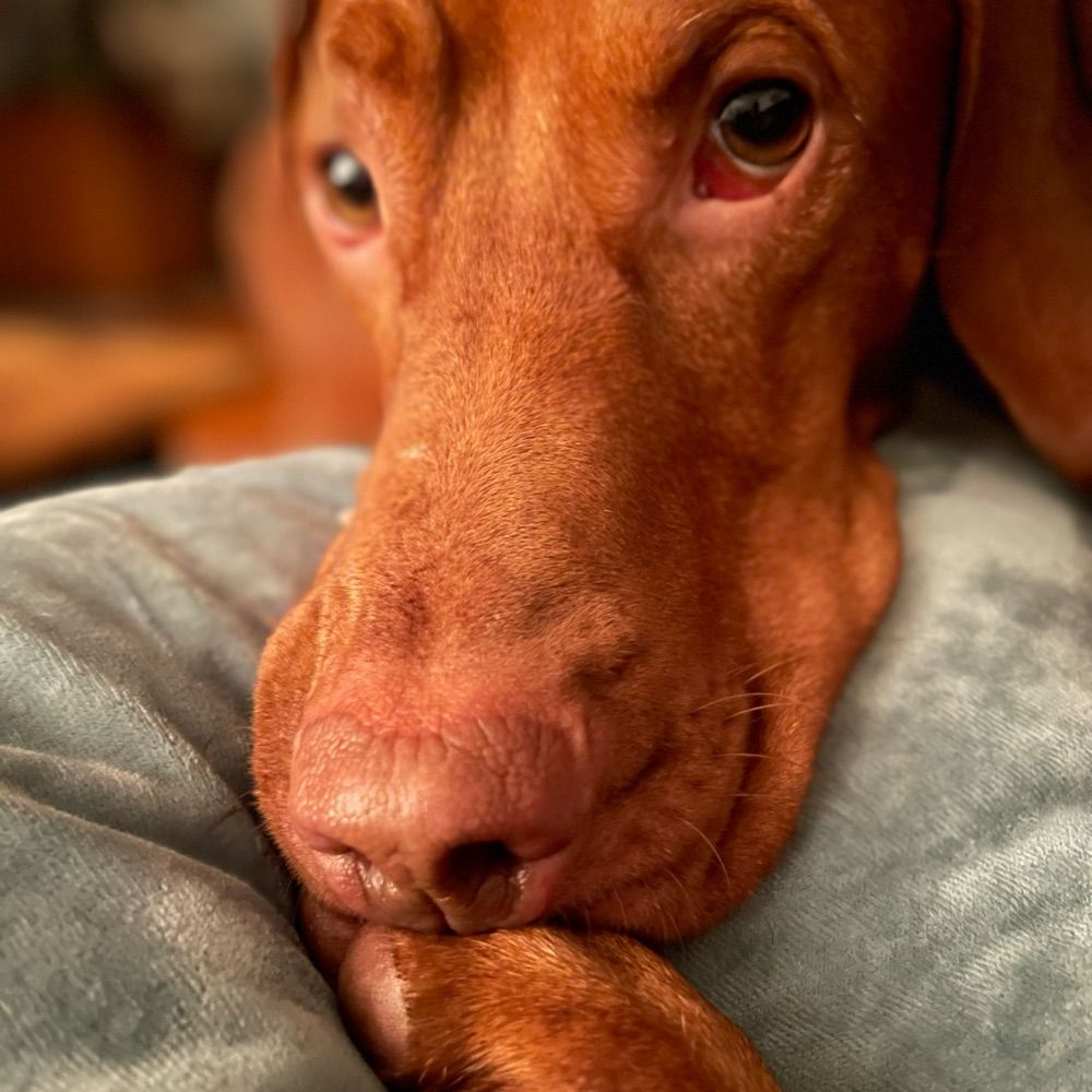 Doug S