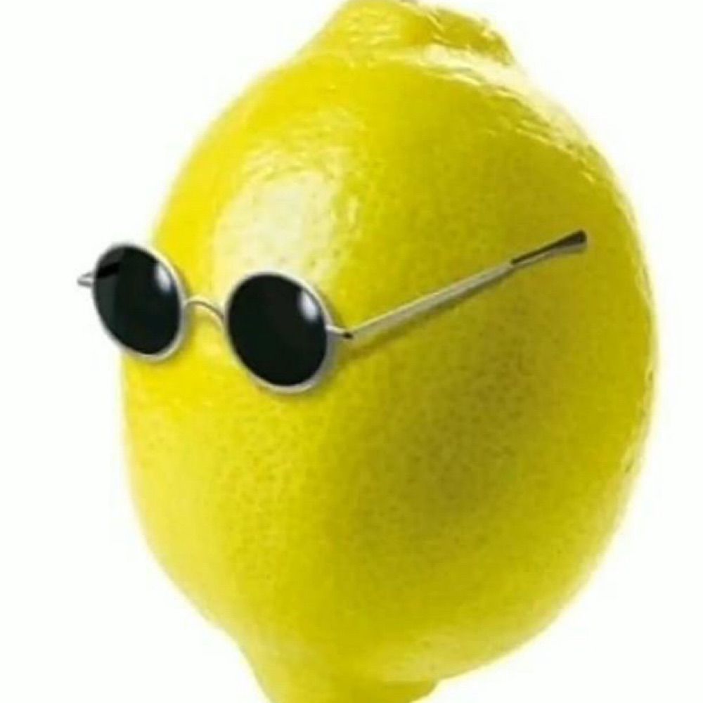 Tara Bees
