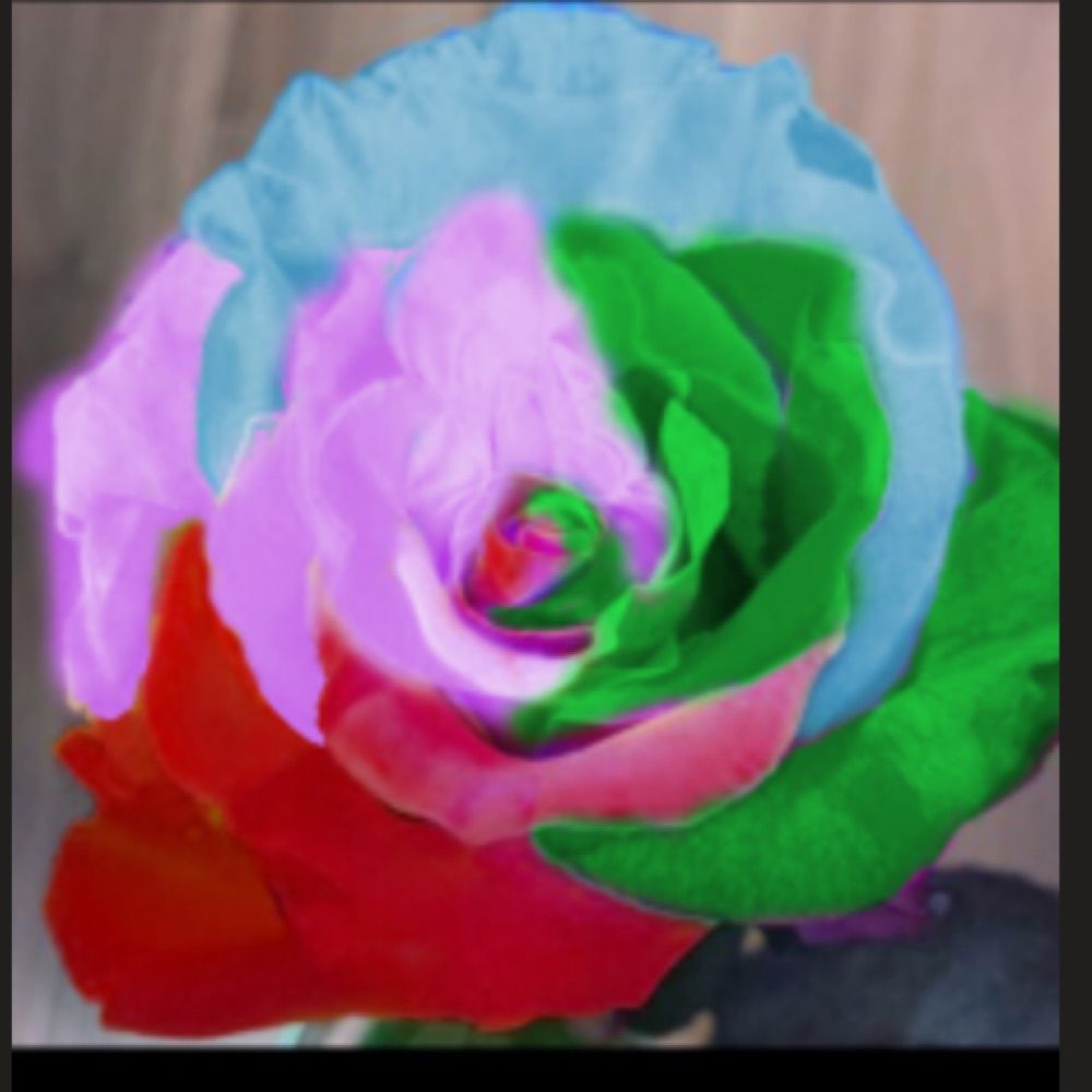 ｳ∞ｺ