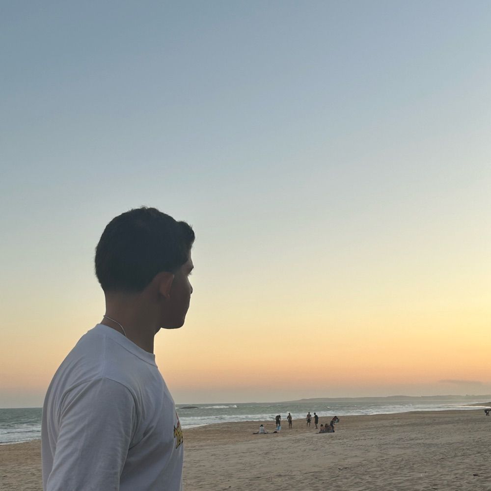 Dyaraujo 
