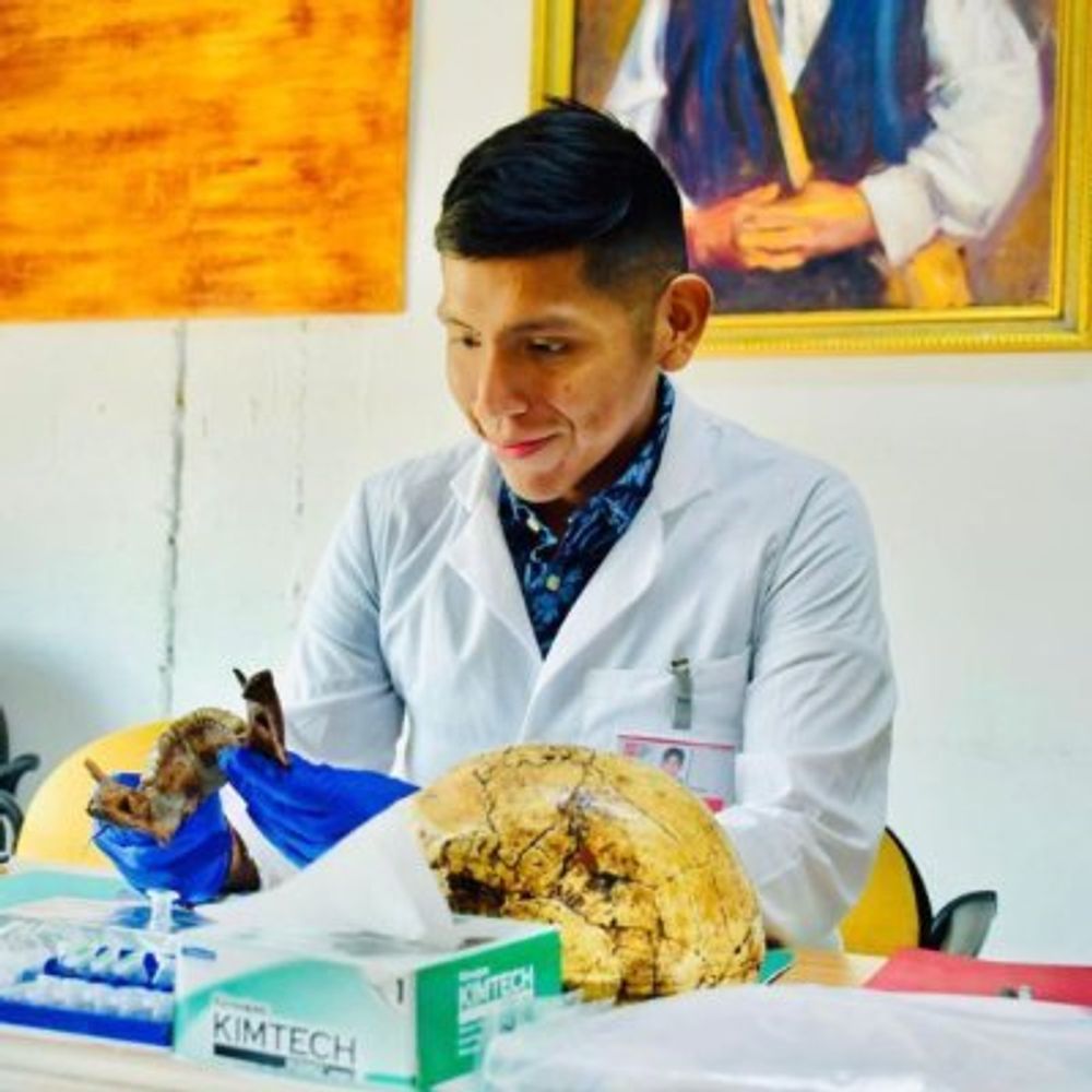 Mario Apata