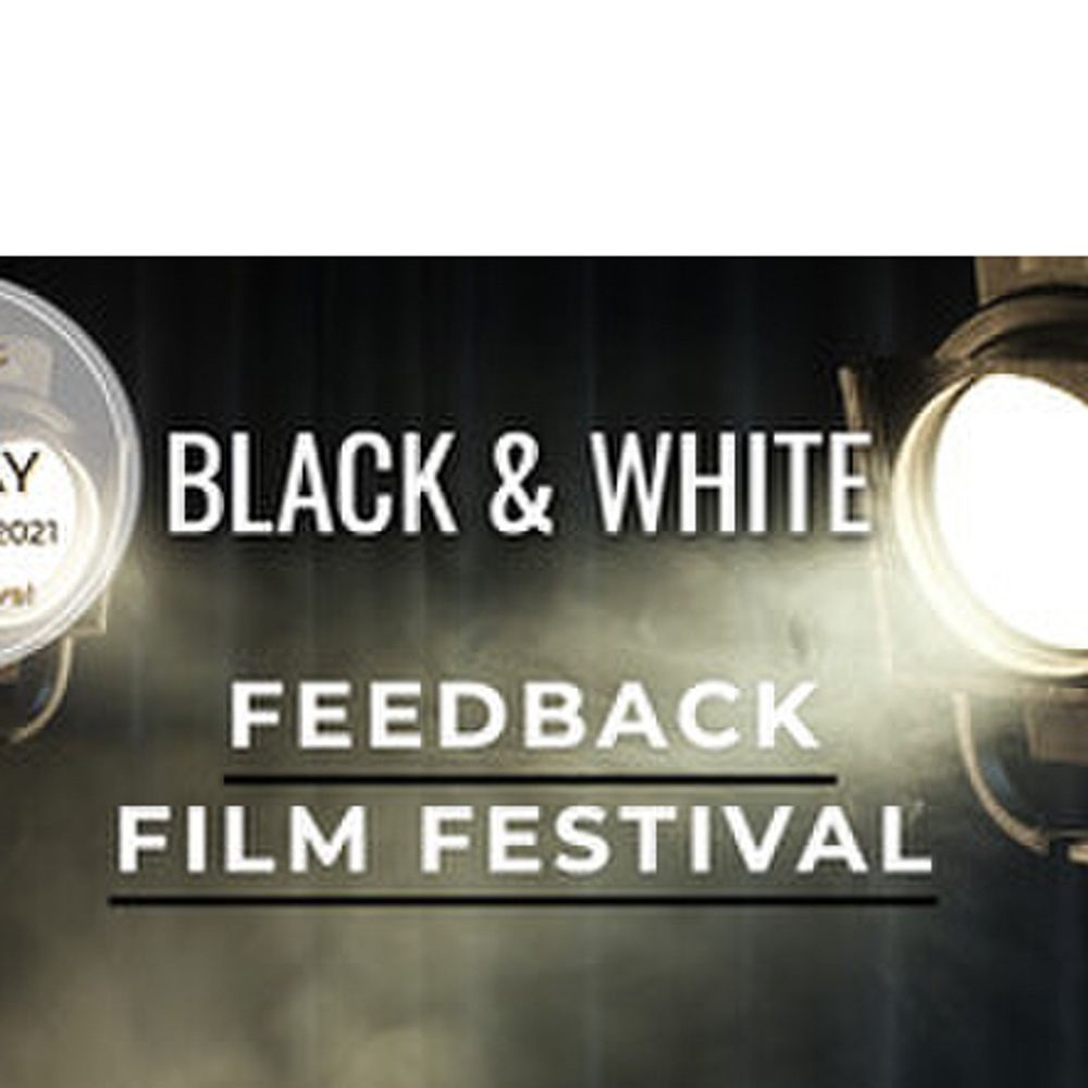 Black & White Feedback Festival