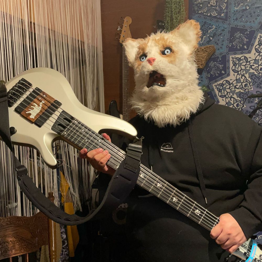 プチキャット🐈🎸