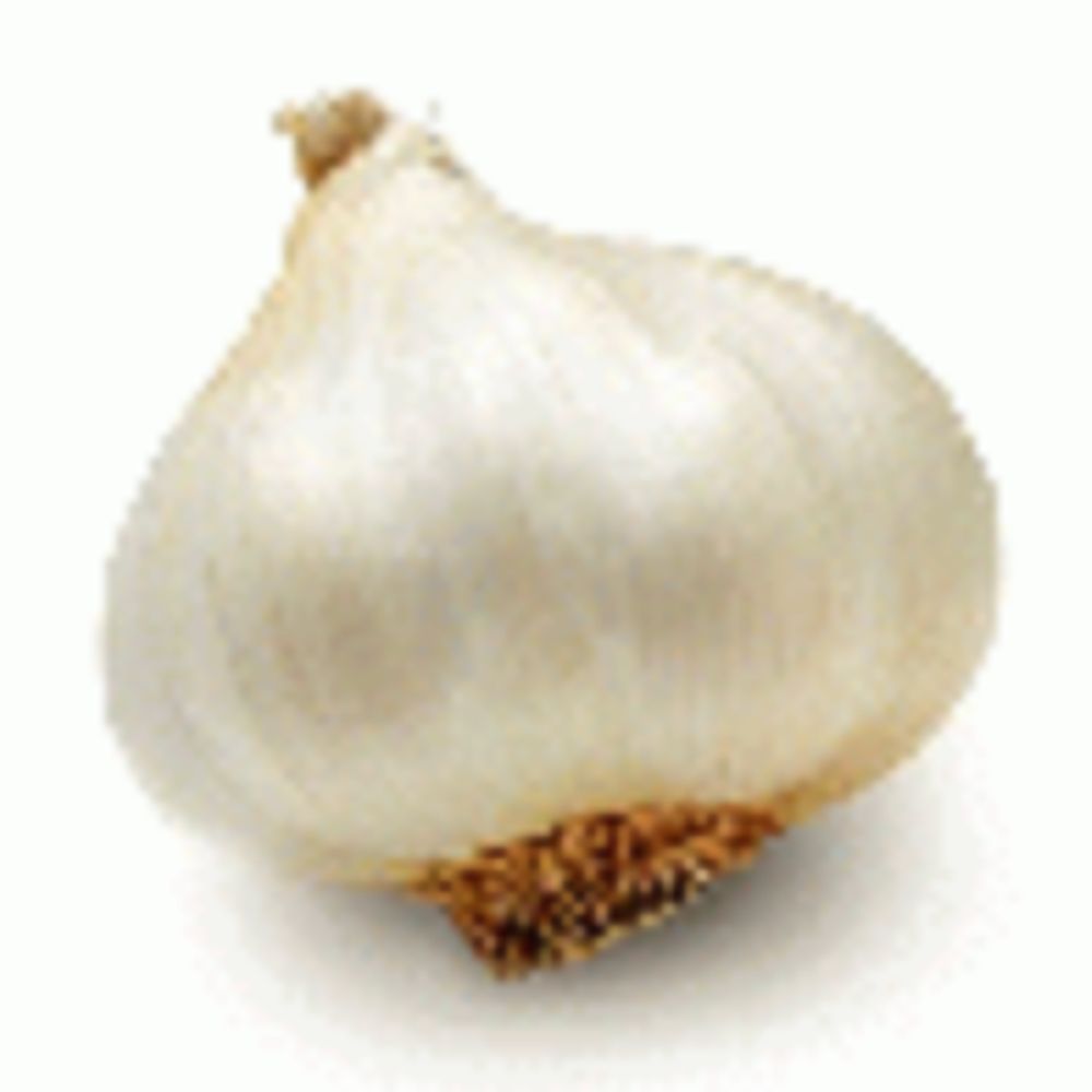 Garlickey