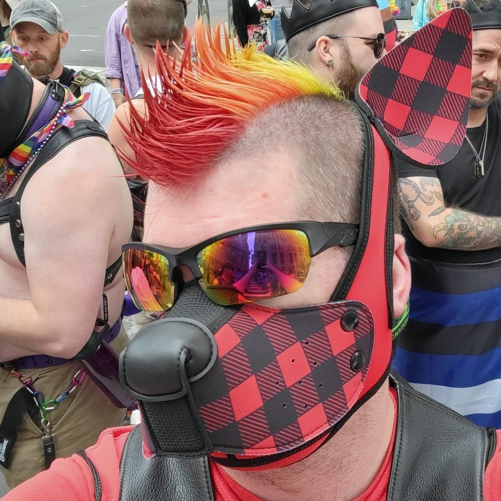 Pup Rigger
