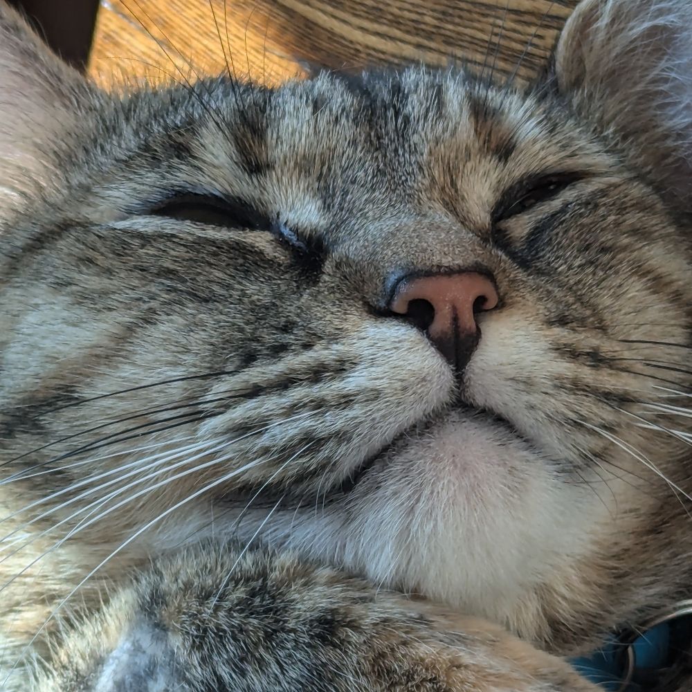 StampKitty