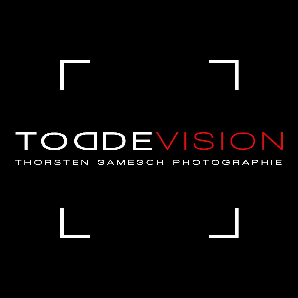 ToddeVision