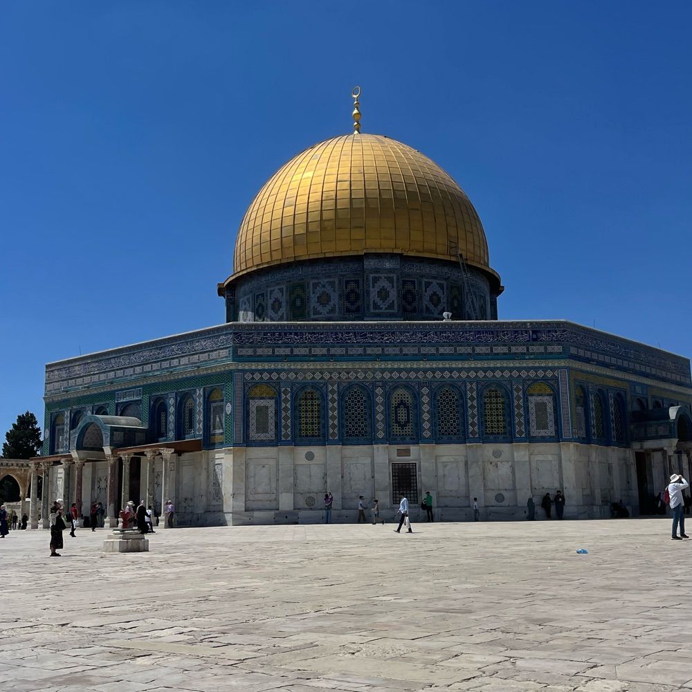 Saif akram🇵🇸