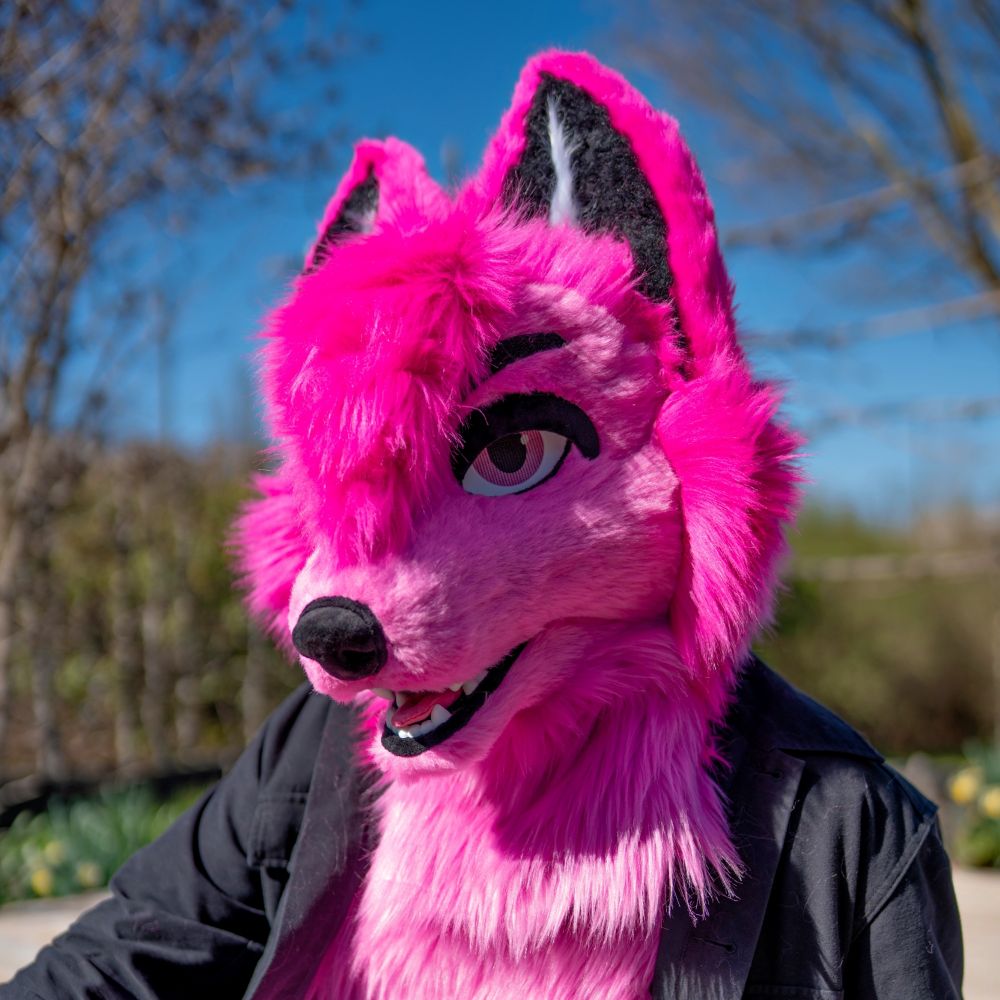 Don Pinkfox