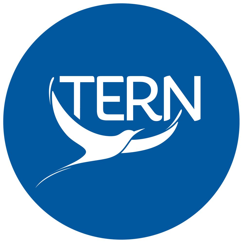 TERN - The Entrepreneurial Refugee Network