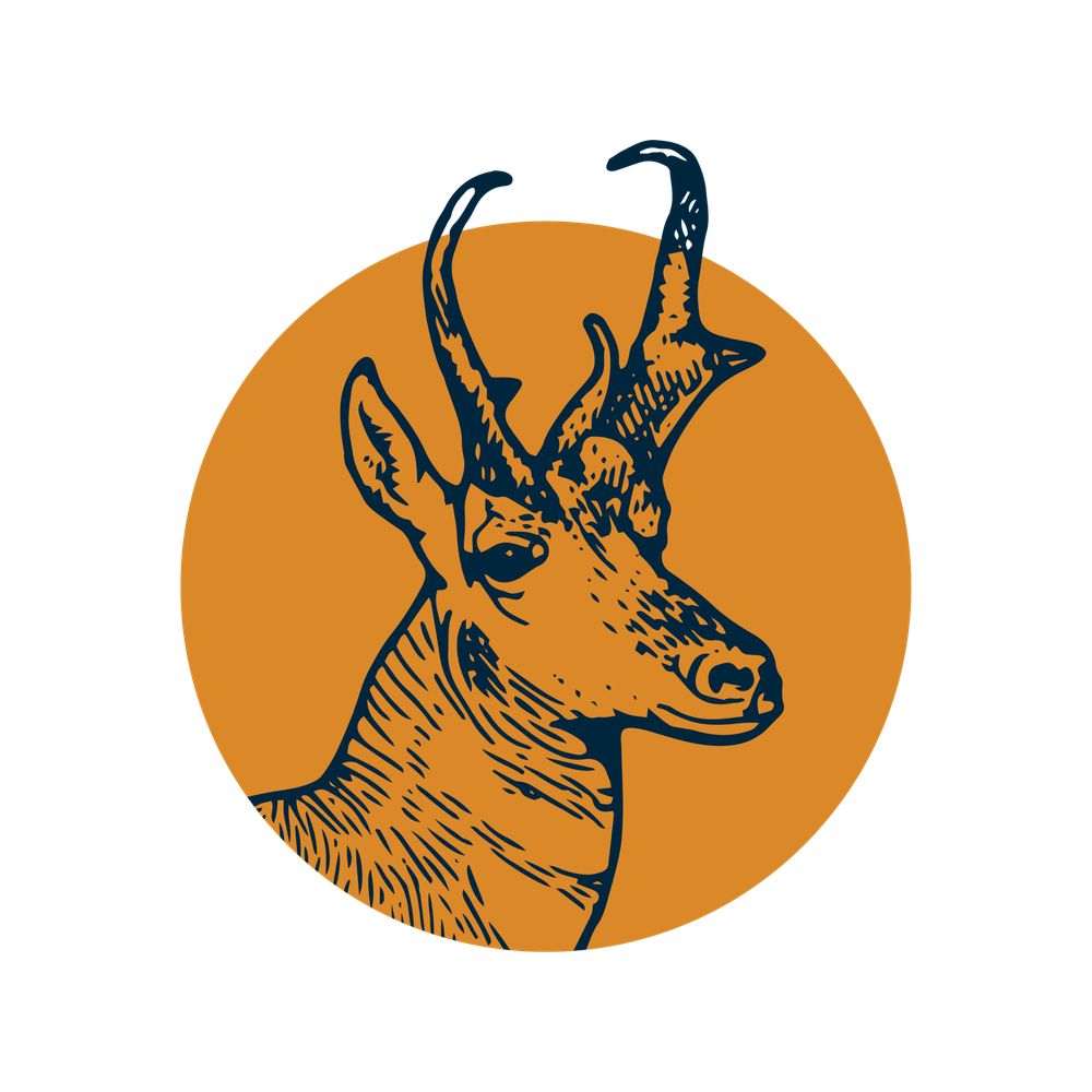 Sageland Collaborative