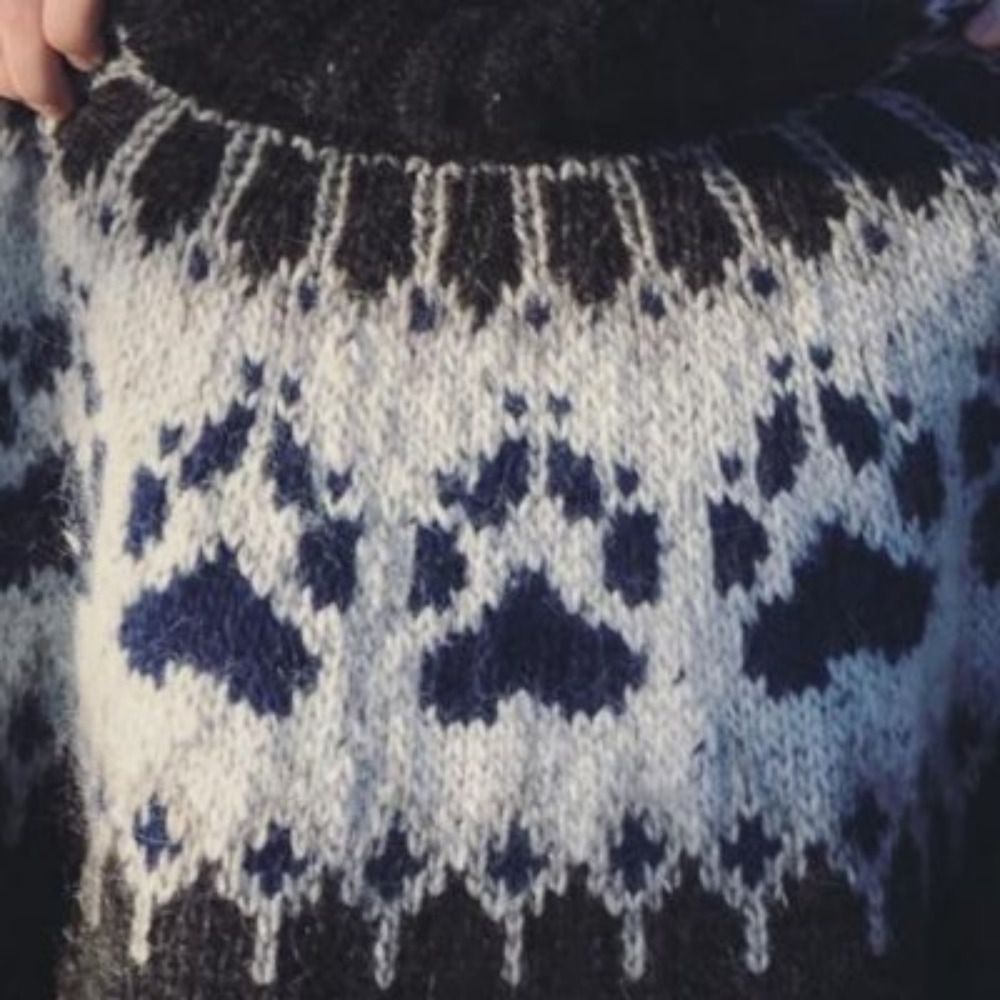 Dallas Seavey's Sweater