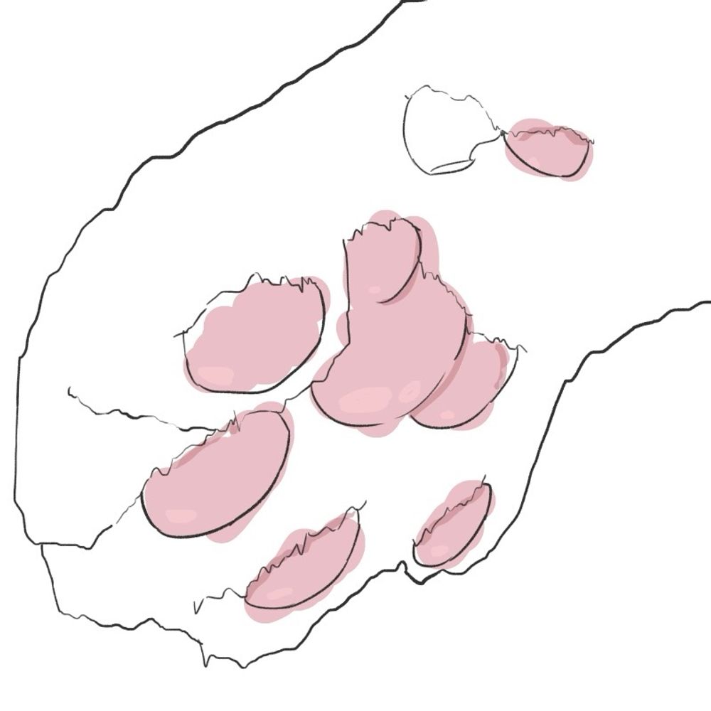 ぺぺぺ