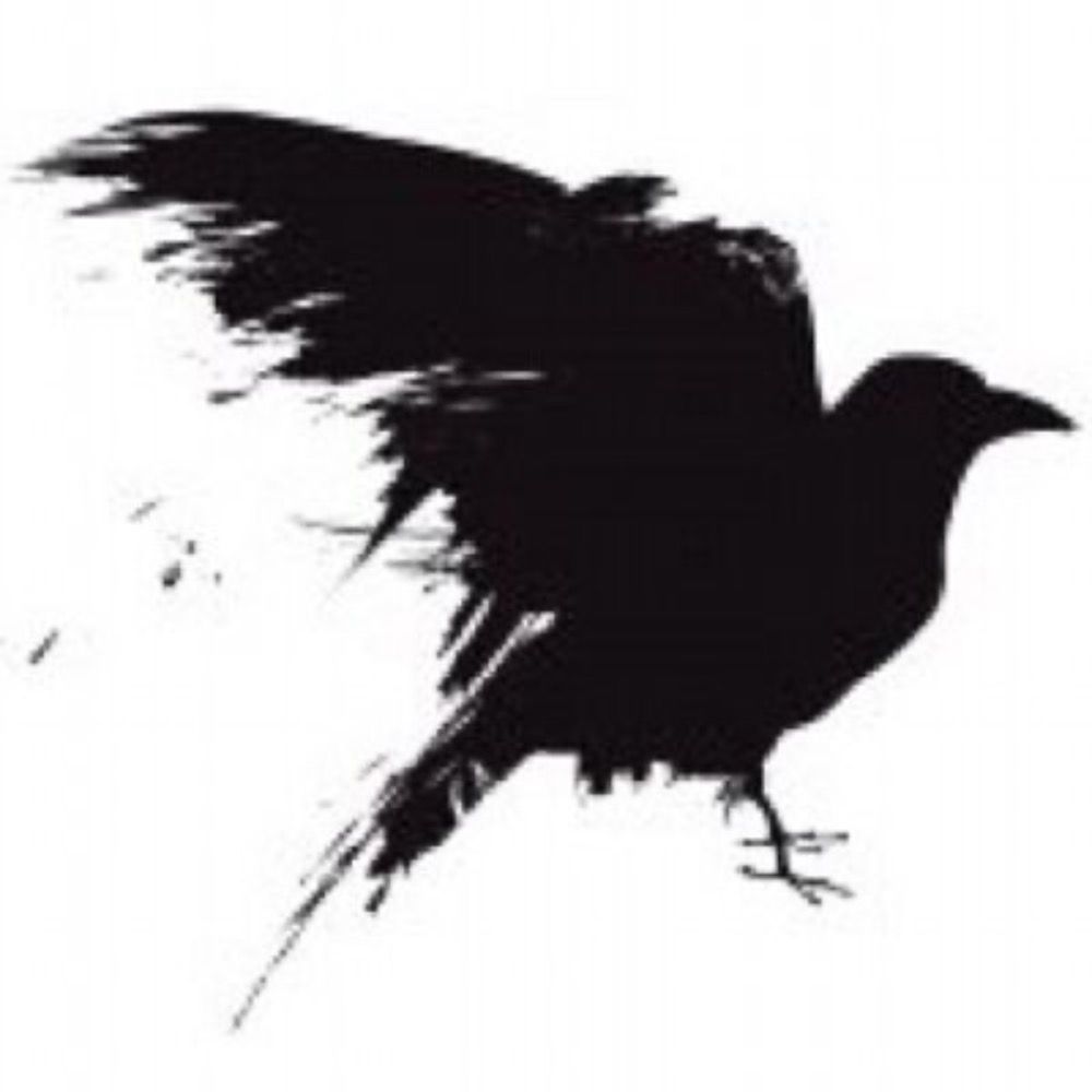 Black Raven's avatar