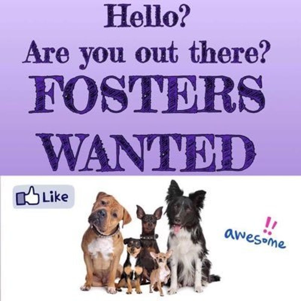 Fosterfirst