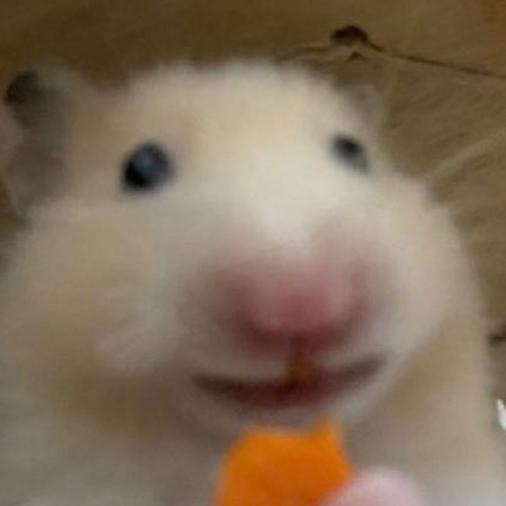 이브
