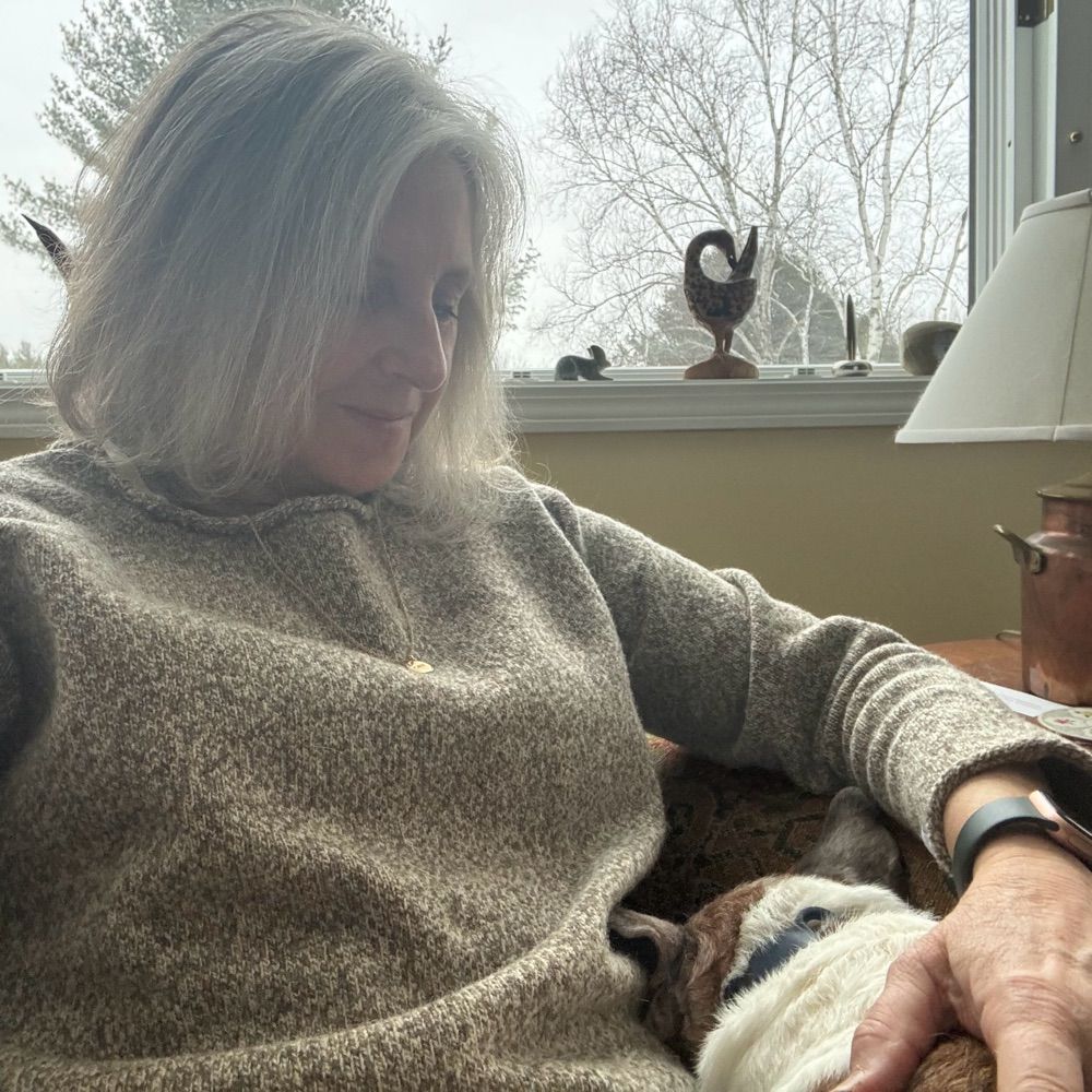 Donna Fenn