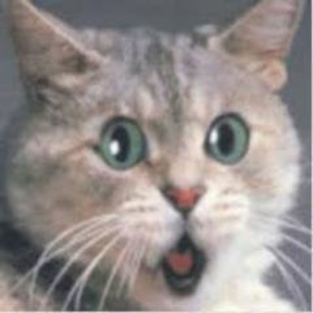 Mathmew Purrrr Oh!