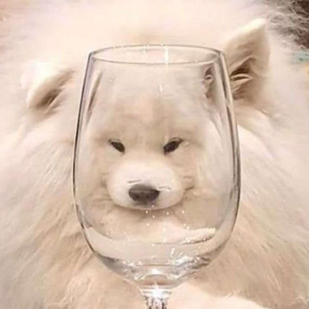 선이