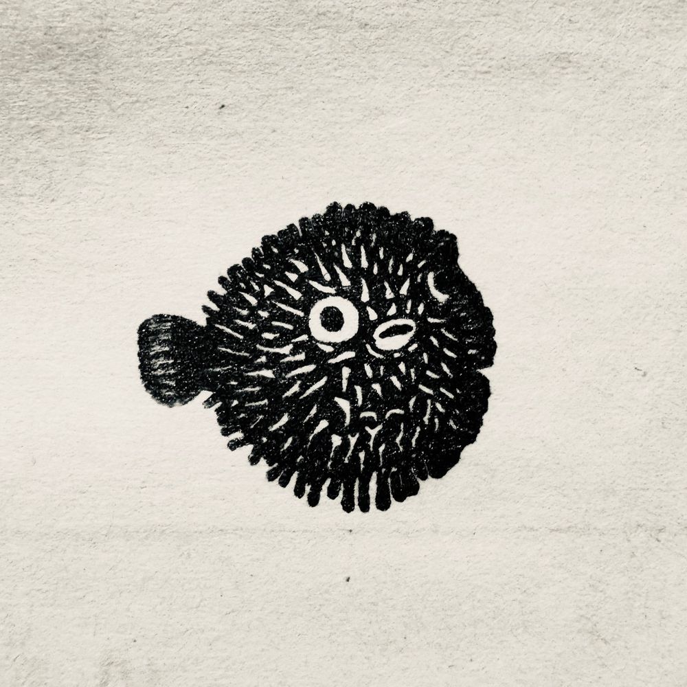 AM