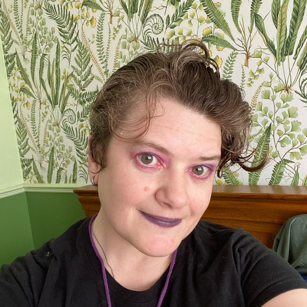 Chronic Historian ♾️♿️🏳️‍🌈🏳️‍⚧️💜🖤💛🏴󠁧󠁢󠁳󠁣󠁴󠁿🍉🐺🐈‍⬛🧑‍🌾🌱🌳