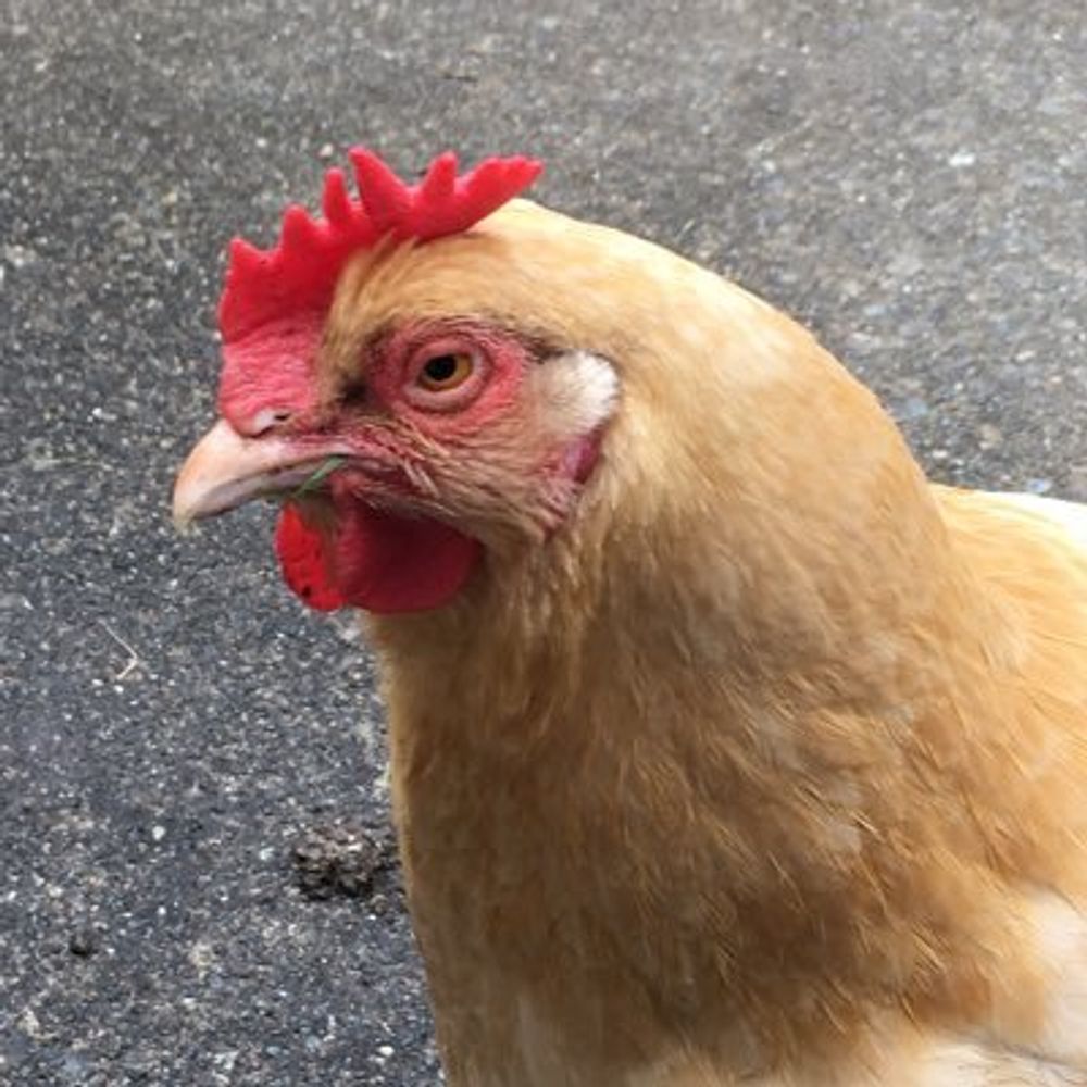 Mar 🐥