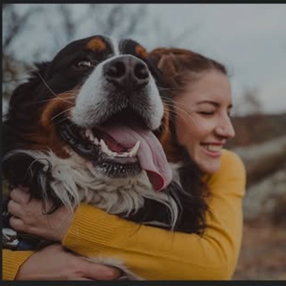 Safe_paws_heaven.resc
